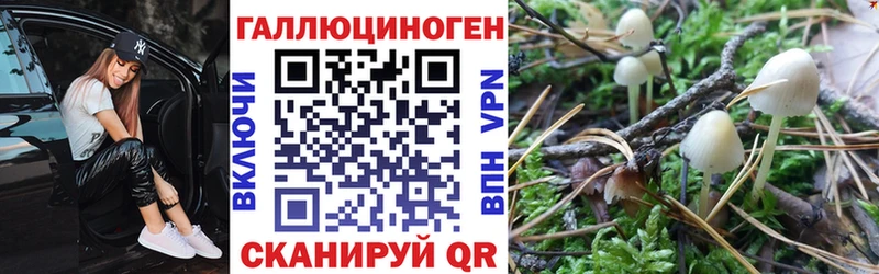 где продают Собинка Псилоцибиновые грибы GOLDEN TEACHER